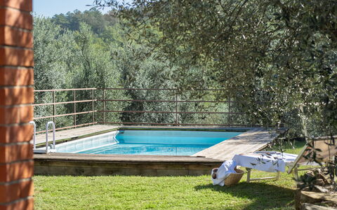Residenza la Casuccia: Water, Plant, Swimming Pool, Shade, Leisure, Grass, Composite Material, Landscape, Wood, Rectangle