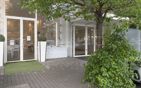 Florence Suite Apartment: Plant, Wheel, Road Surface, Tree, Door, Grass, Building, Residential Area, Urban Design