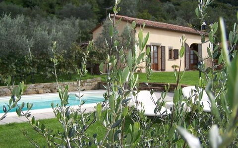 Orangerie Degli Ulivi: Plant, Property, Window, Plant Community, Building, Nature, Water, House, Vegetation, Land Lot