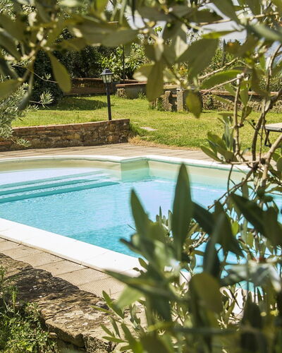 Orangerie Degli Ulivi: Water, Water Resources, Plant, Nature, Azure, Swimming Pool, Botany, Natural Landscape, Vegetation, Grass