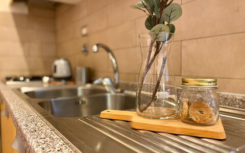 Vintage Apartment in Florence: Kitchen Sink, Sink, Plant, Countertop, Tap, Wood, Interior Design, Plumbing Fixture, Kitchen, Twig