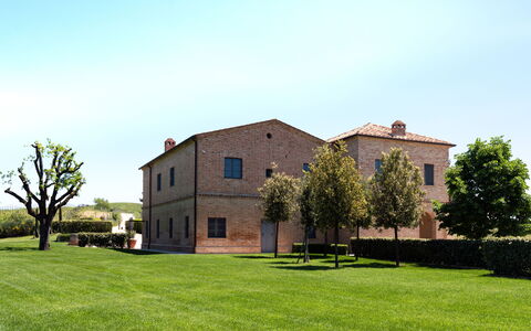 Podere D'Asso: Sky, Plant, Property, Building, Window, Tree, Land Lot, Grass, House, Door