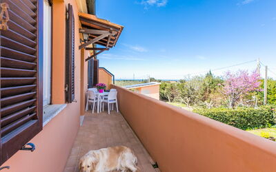 Accommodation:&nbsp;La Casina 650.3