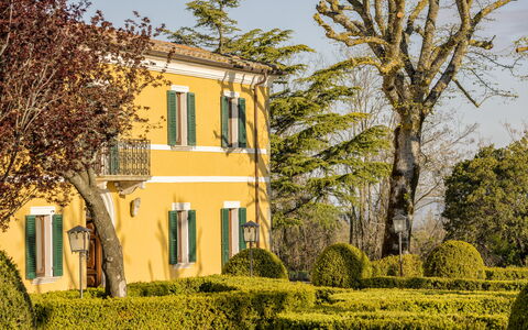 Villa Pianoia: Plant, Sky, Property, Building, Window, Tree, Branch, Vegetation, Sunlight, Yellow
