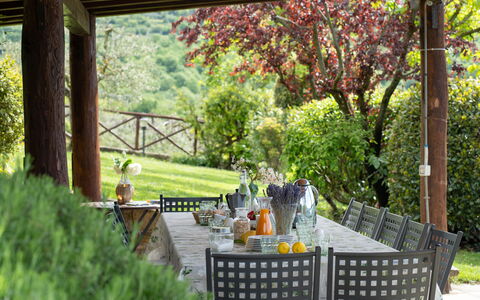 Villa Castelluccio - Arezzo, Toscana: Plant, Botany, Nature, Table, Lighting, Architecture, Tree, Shade, Grass, Biome