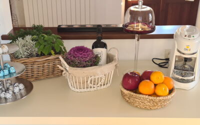 Accommodation:&nbsp;Paradiso Deluxe