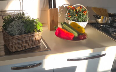 Accommodation:&nbsp;Paradiso Deluxe