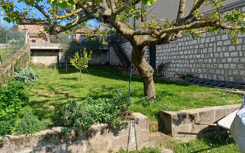 Casa Della Selce: Plant, Tree, Branch, Land Lot, Window, House, Grass, Biome, Trunk, Woody Plant