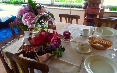 Villa Fulvia: Table, Tableware, Furniture, Dishware, Flower, Food, Plant, Plate, Window, Tablecloth