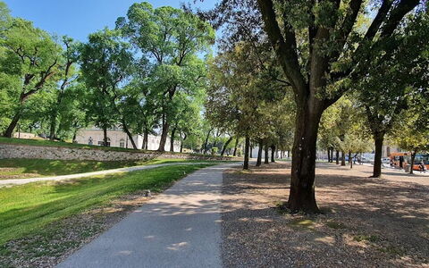 Residenza Otello: Plant, Sky, Tree, Road Surface, Shade, Natural Landscape, Thoroughfare, Grass, Landscape, Asphalt
