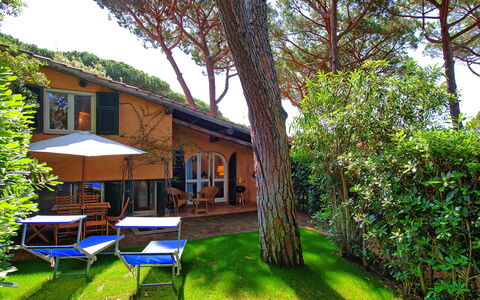 Le Dune: Plant, Sky, Building, Nature, Tree, Natural Landscape, Outdoor Furniture, Grass, Shade, Table