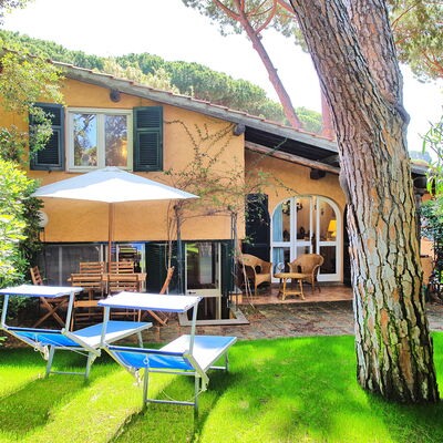 Le Dune: Plant, Property, Building, Window, Tree, Sky, Shade, Chair, Outdoor Furniture, Umbrella