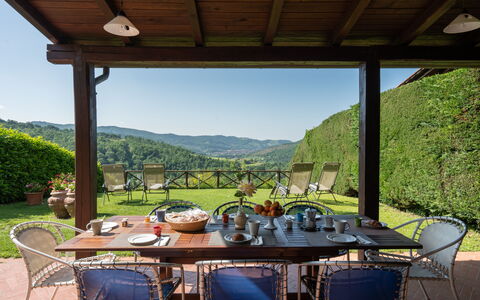 Villa Olivi - Subbiano, Toscana, Pool And Nature: Table, Plant, Property, Furniture, Chair, Sky, Nature, Shade, Porch, Flowerpot
