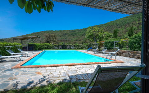 Colle Degli Ulivi - Cortona, Pool, Nature, Privacy: Water, Sky, Plant, Property, Swimming Pool, Azure, Chair, Shade, Tree, Building