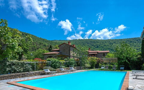 Colle Degli Ulivi - Cortona, Pool, Nature, Privacy: Water, Cloud, Sky, Plant, Property, Blue, Green, Swimming Pool, Azure, Tree