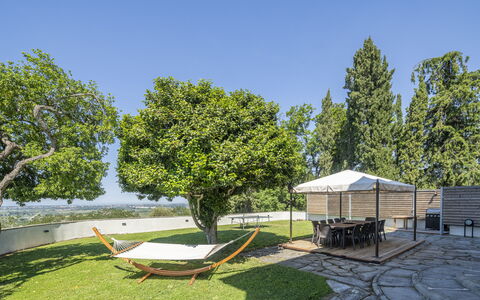 Massarosa Front Lake, The Gargoyles: Tree, Garden, Land Lot, Furniture, Shade, Outdoor Furniture, Lawn, Landscaping, Chair, Yard