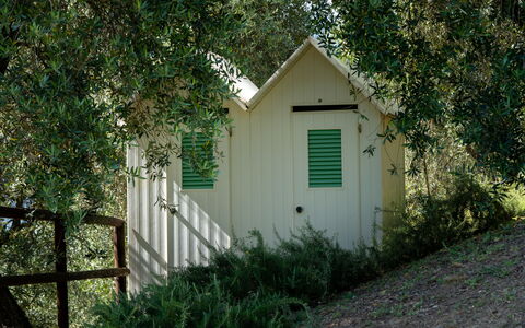 Luxury Green Marignana Villa, Versilia, Pool, Ac,: Plant, Natural Environment, Wood, Building, Tree, Door, Grass, Woody Plant, Natural Landscape, Rural Area