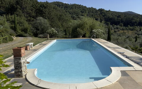 Villa Monticello: Water, Sky, Water Resources, Swimming Pool, Plant, Building, Tree, Shade, Rectangle, Composite Material