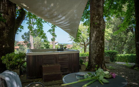 Villa Recanati, Val D'orcia, Private Pool, Jacuzzi: Plant, Table, Leaf, Building, Nature, Tree, Botany, Shade, Lighting, Wood