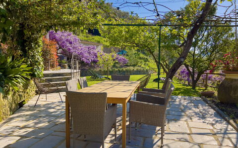La Casa Dei Glicini - Levanto: Plant, Property, Sky, Flower, Purple, Tree, Road Surface, Outdoor Table, Vegetation, Shade