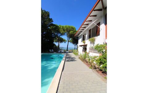 Pupa House: Plant, Building, Property, Sky, Water, Architecture, Window, Shade, Tree, House