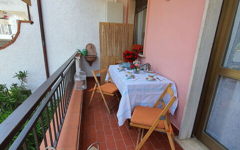 La Butterfly: Plant, Table, Property, Furniture, Building, Houseplant, Wood, Interior Design, Flowerpot, Flower