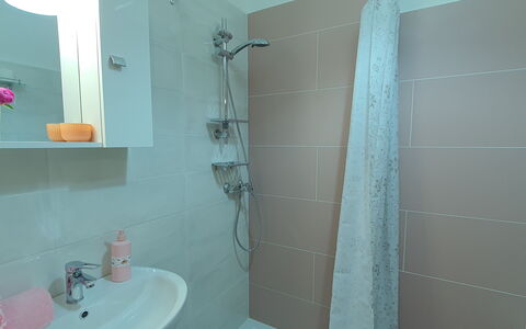 La Butterfly: Plumbing Fixture, Property, Sink, Tap, Bathroom, Shower Head, Shower, Bathroom Sink, Floor, Mirror