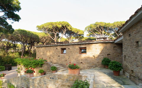Villa La Pineta: Plant, Sky, Property, Building, Window, Tree, Cottage, House, Flowerpot, Neighbourhood
