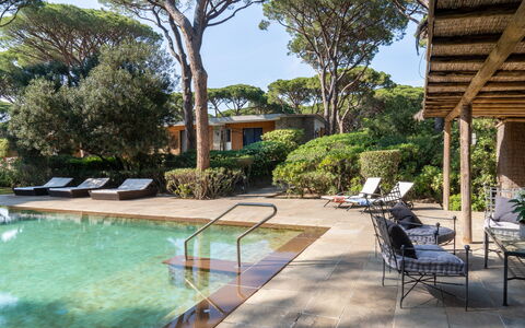 Villa La Pineta: Water, Plant, Swimming Pool, Sky, Building, Tree, Outdoor Furniture, Shade, Chair, Arecales