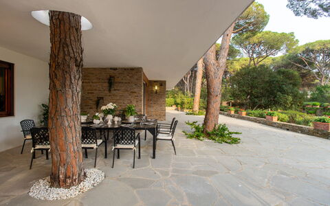 Villa La Pineta: Plant, Property, Table, Chair, Lighting, Building, Interior Design, Shade, Wall, Tree