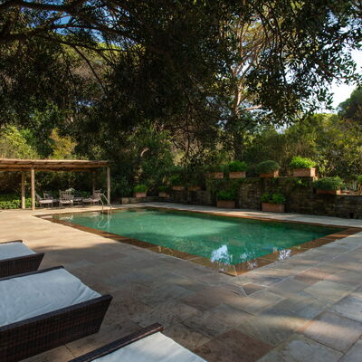Villa La Pineta: Water, Plant, Property, Swimming Pool, Tree, Outdoor Furniture, Shade, Grass, Leisure, Real Estate