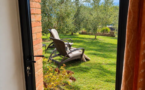 Lina - Podere Ribatti - Casole D'elsa, Toscana: Sunlight, Wood Stain, Garden, Backyard, Landscaping, Hardwood, Home Door, Eco Hotel, Hacienda