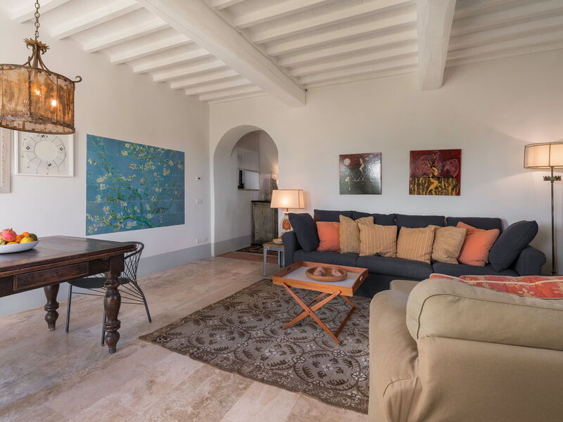 Lina - Podere Ribatti - Casole D'elsa, Toscana