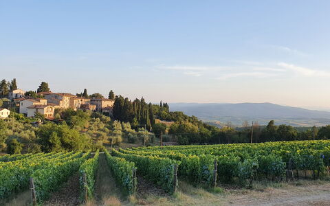 Il Nespolo Charming Apartment Fonterutoli - Siena,: Sky, Plant, Building, Natural Landscape, Cloud, Tree, Landscape, Horizon, Plain, Agriculture