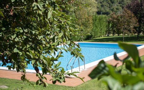 Villa Niccone: Water, Plant, Plant Community, Green, Shade, Swimming Pool, Vegetation, Outdoor Furniture, Body Of Water, Grass