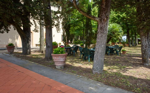 Villa Badiuzza: Plant, Tree, Flowerpot, Road Surface, Shade, Urban Design, Grass, Leisure, City, Recreation
