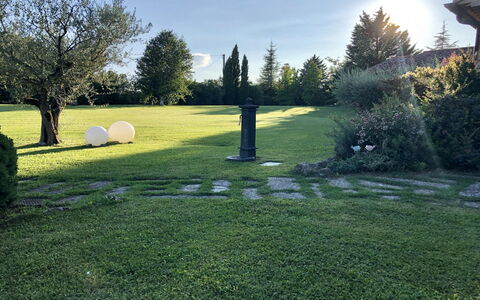 Villa Carsuga: Plant, Sky, Property, Tree, Natural Landscape, Botany, Land Lot, Grass, Biome, Woody Plant