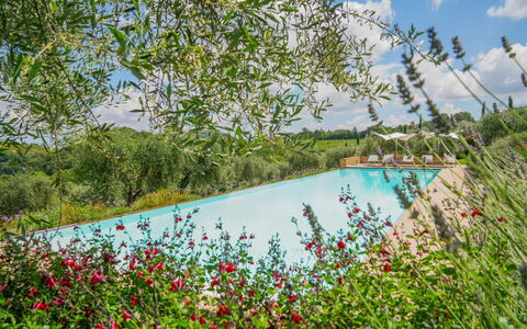 Villa Bartolomeo: Water, Plant, Flower, Sky, Cloud, Nature, Tree, Natural Landscape, Swimming Pool, Grass