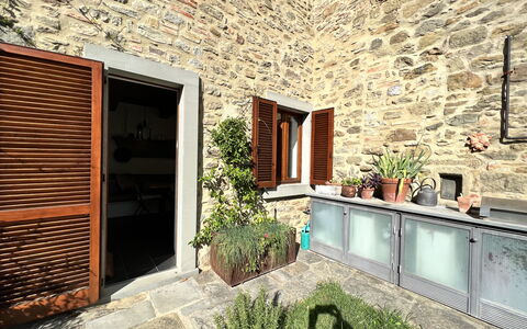 The Architects House: Plant, Building, Property, Window, Flowerpot, Wood, Interior Design, Architecture, Houseplant