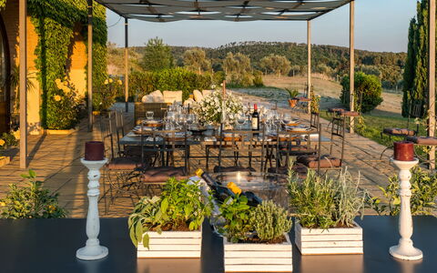 Villa Bagnoli: Plant, Property, Table, Light, Shade, Flowerpot, Botany, Lighting, Outdoor Furniture, Architecture