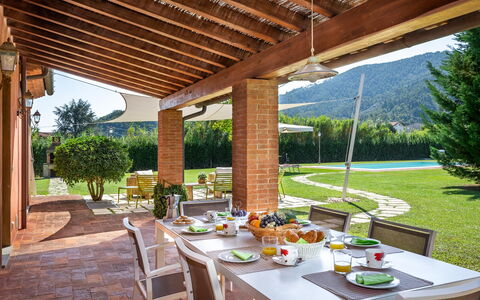 Le Vigne 4: Table, Plant, Furniture, Tableware, Property, Flowerpot, Chair, Shade, Interior Design, Outdoor Furniture