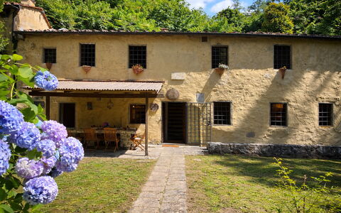 Molin Barletta, Private Pool, Nature - Marliana, T: House, Shrub, Cottage, Estate, Rural Area, Backyard, Garden, Yard, Hacienda, Lawn