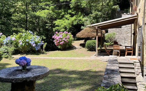 Molin Barletta, Private Pool, Nature - Marliana, T: Plant, Botany, Leaf, Natural Landscape, Tree, Vegetation, Grass, Sky, Landscape, Shrub