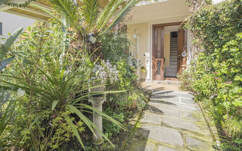 La Bouganville, Forte Dei Marmi, Private Garden, W: Shrub, Garden, Flowerpot, Landscaping, Houseplant, Yard, Flagstone, Backyard, Courtyard