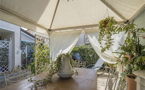 La Bouganville, Forte Dei Marmi, Private Garden, W: Flowerpot, Shade, Outdoor Structure, Chair, Garden, Houseplant, Outdoor Furniture, Patio, Courtyard, Yard
