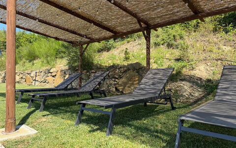 Villa Luana: Outdoor Furniture, Furniture, Shade, Garden, Outdoor Structure, Sunlounger, Natural Material, Hardwood, Backyard, Outdoor Table