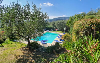 Al Vecchio Metato: Plant, Water, Water Resources, Sky, Cloud, Natural Landscape, Tree, Land Lot, Swimming Pool, Leisure