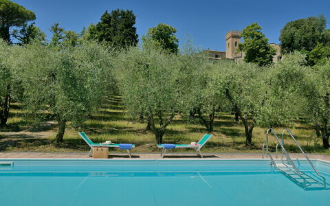 Torre Di Montelopio: Water, Plant, Sky, Swimming Pool, Azure, Outdoor Furniture, Tree, Body Of Water, Grass, Natural Landscape