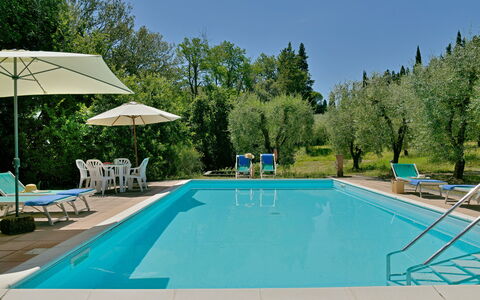 Torre Di Montelopio: Water, Swimming Pool, Furniture, Plant, Sky, Chair, Nature, Azure, Tree, Outdoor Furniture