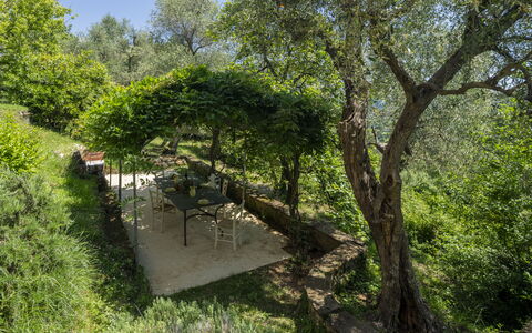 La Casa Dei Limoni, Camaiore, Pet Friendly, Wifi: Leaf, Tree, Green, Vegetation, Shrub, Plant Community, Garden, Spring, Shade